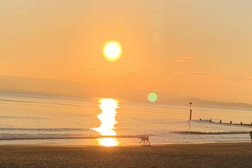 Bournemouth Nr Town Beach Train Coach Shops Lovely Entire Apartment Allows Quiet Good Dogs Luaran gambar