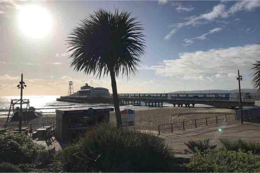 Bournemouth Nr Town Beach Train Coach Shops Lovely Entire Apartment Allows Quiet Good Dogs Luaran gambar